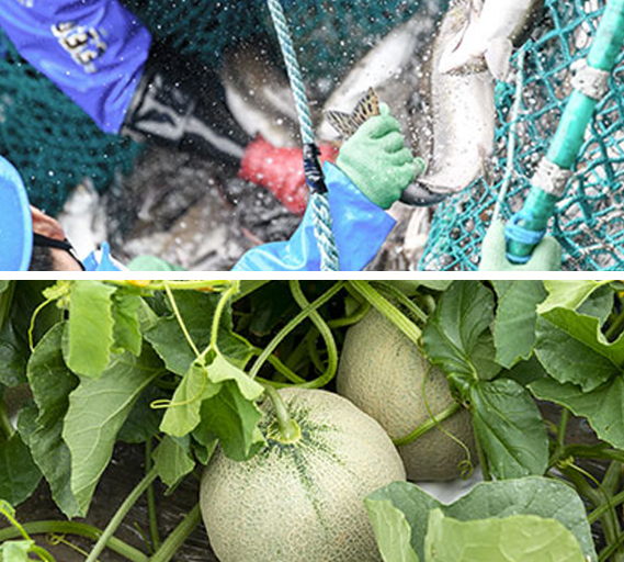 生産者直送システム